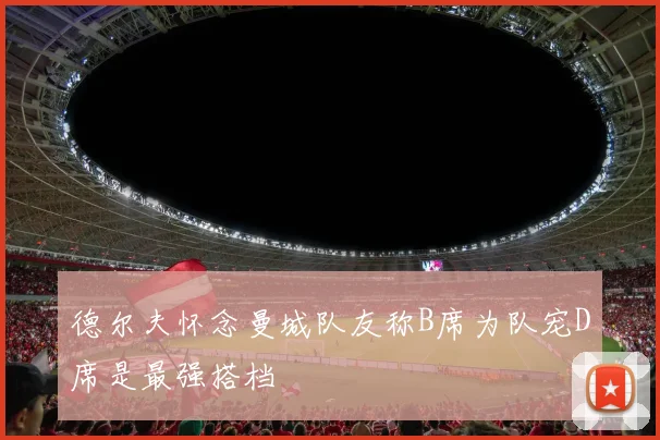 德尔夫怀念曼城队友称B席为队宠D席是最强搭档