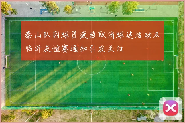 泰山队因球员疲劳取消球迷活动及临沂友谊赛通知引发关注