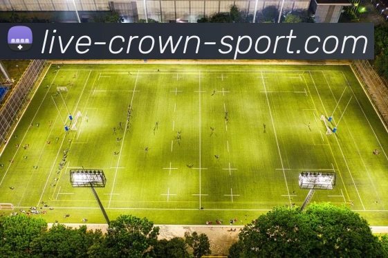 皇冠体育全站App